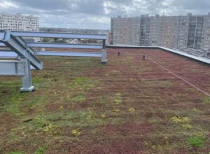 Toiture végétalisée de l'immeuble Greenpark